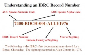 Understanding IBRC Codes