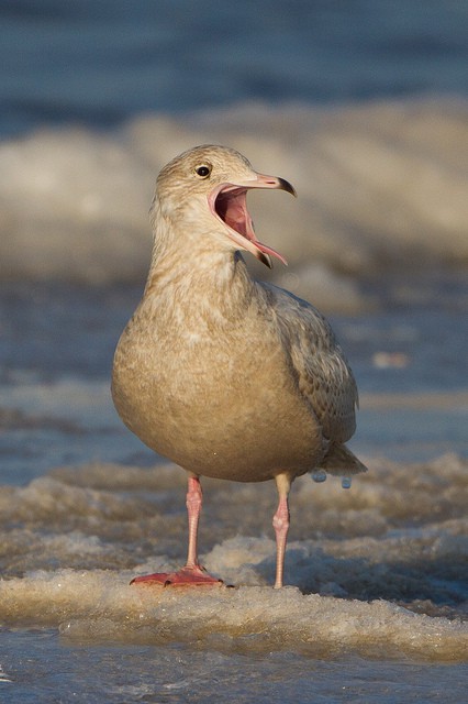 Photo by Ryan Sanderson