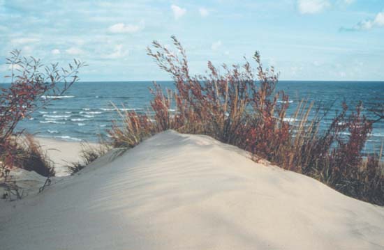 Big Blowout Indiana Dunes State Park