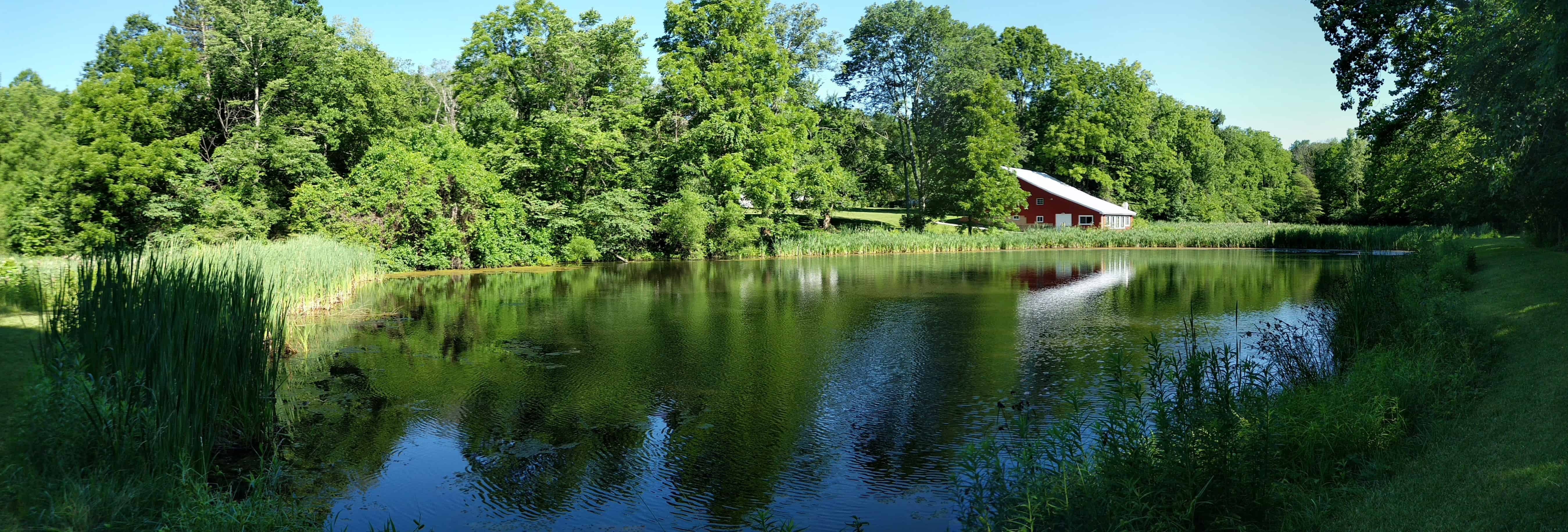 Mary Gray Bird Sanctuary