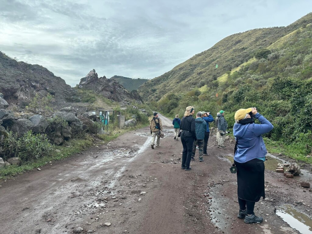 Birders walking on a dirt road in one of Ecuador's mountainous areas, immersed in the serene landscape and fresh air.