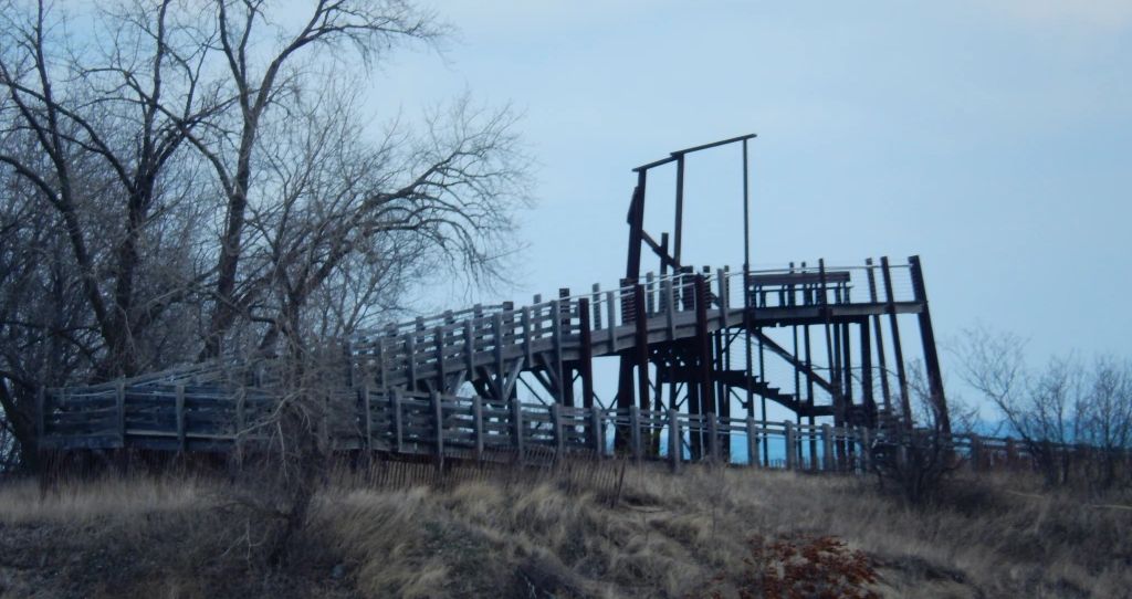 Two Years of Longshore Migration Counts